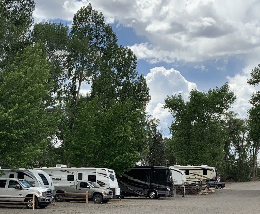Tree Lined Back-In RV Site - Riverbend RV Park and Cabins Montrose CO