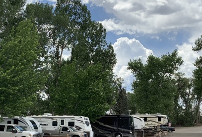 Tree Lined Back-In RV Site