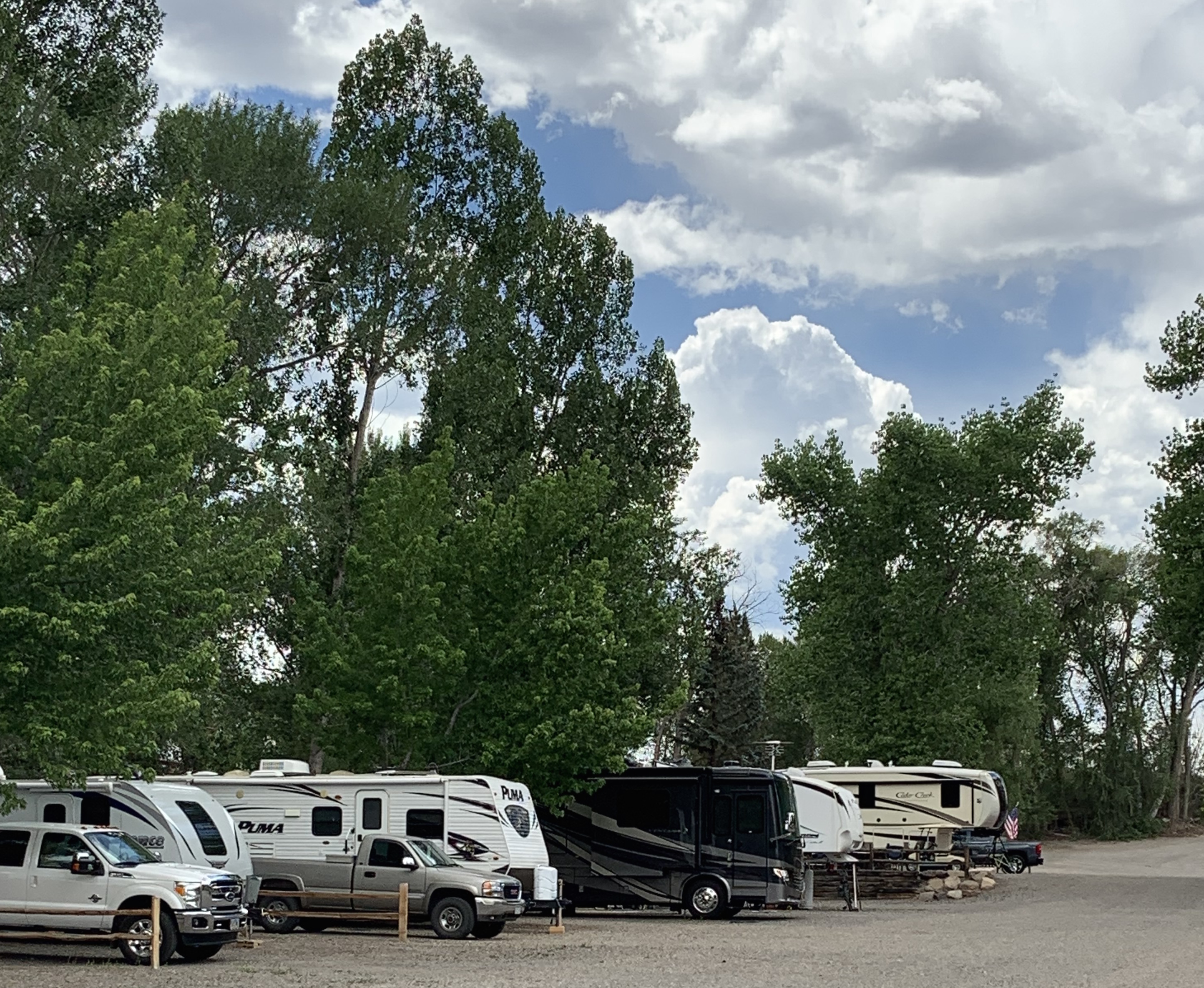 Tree Lined Back-In RV Site