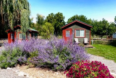 Rustic Camping Cabin