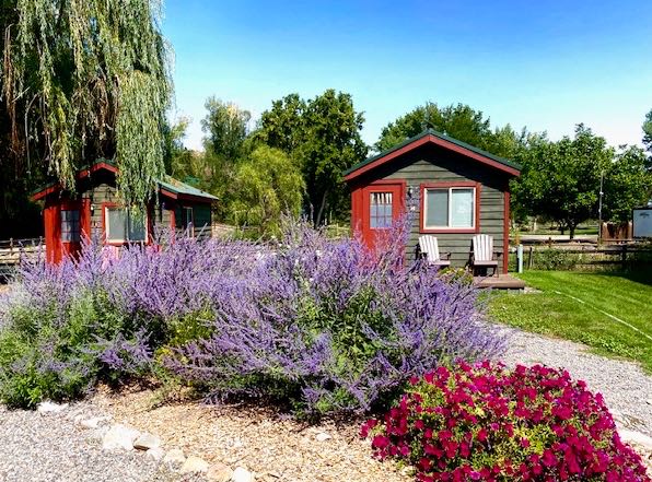 Rustic Camping Cabin